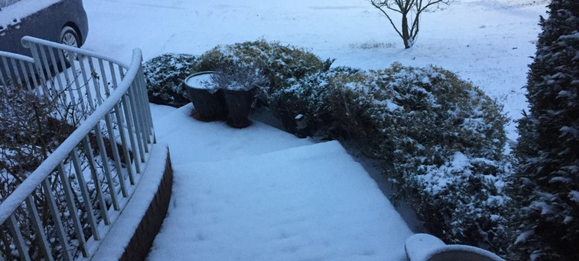 It’s Snowing, and I Have a New&nbsp;Website